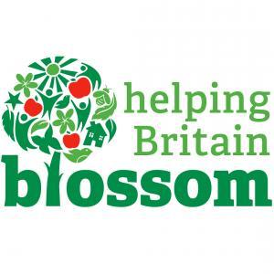 Helping Britain Blossom